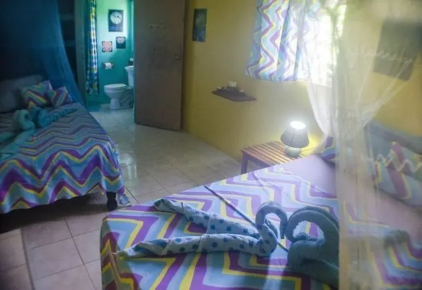 Enlightenment and Sunbeam room - Garden View