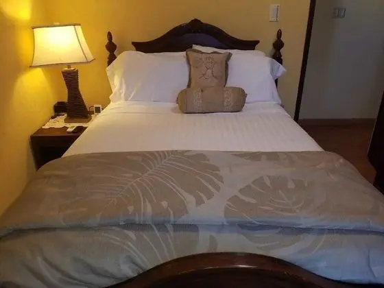 Deluxe Apart Daire, 2 Yatak Odası, Bahçe Manzaralı, Denize Bakan (Bottom Floor Garden View)