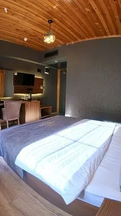 Klasik Dağ Manzaralı Standard Double Room