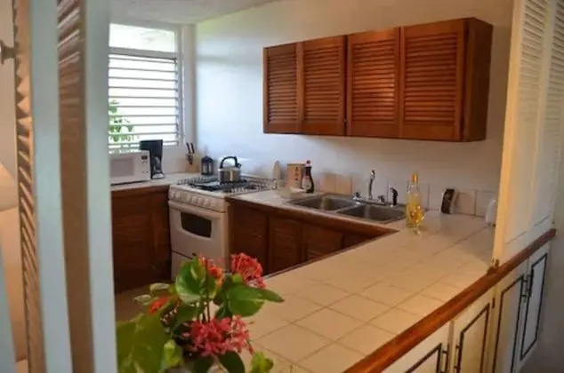 Standard Villa, 1 Yatak Odası, Mutfak, Bahçe Manzaralı