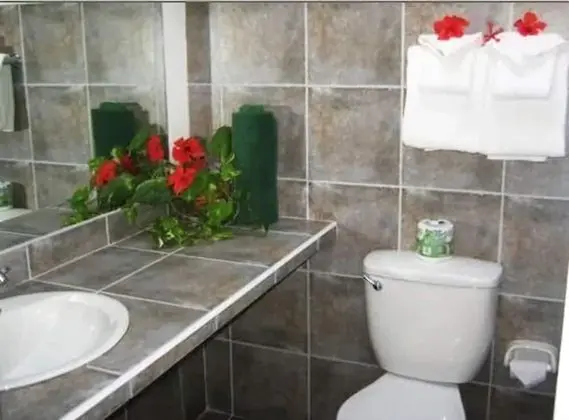 Standard Villa, 1 Yatak Odası, Mutfak, Bahçe Manzaralı