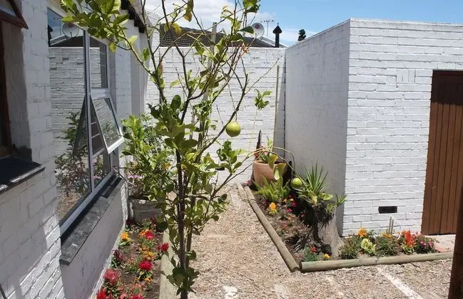 Terrace Room 9 with King or Single Beds