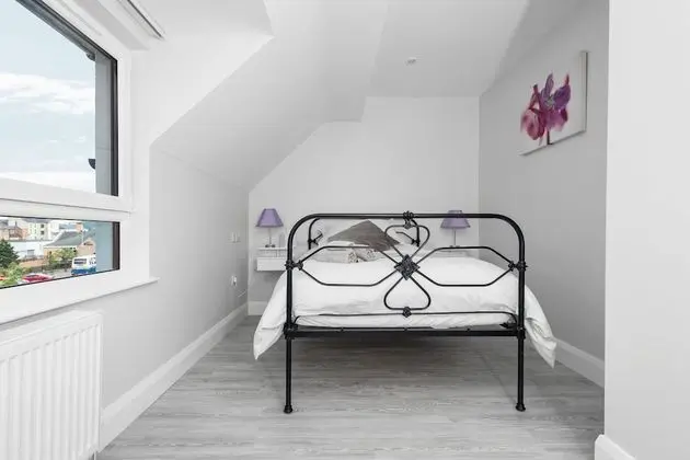 Classic Apart Daire, Özel Banyo, Şehir Manzaralı (3)