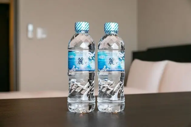 Superior Tek Kişilik Oda, Sigara İçilmez (East)