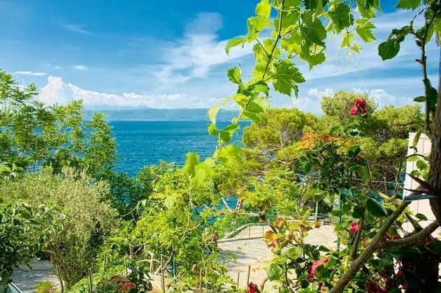 Apart Daire (Gojko - 50 m from the beach - A1(9))