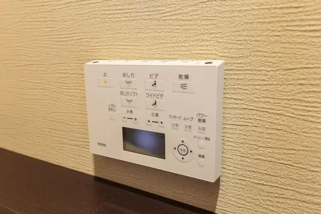 Traditional Ev