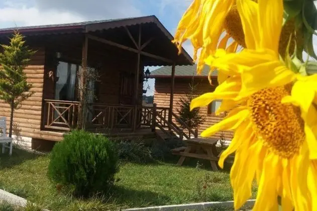 Çift Kişilik, Göl Manzaralı