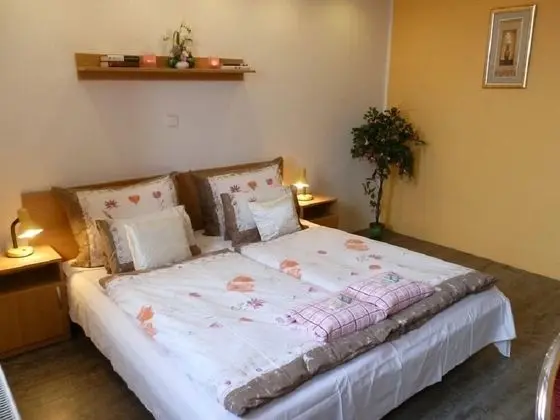 Standard Tek Büyük veya İki Ayrı Yataklı Oda, Buzdolabı