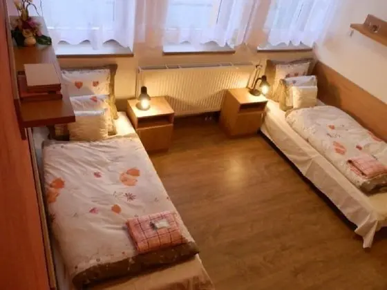 Standard Tek Büyük veya İki Ayrı Yataklı Oda, Buzdolabı