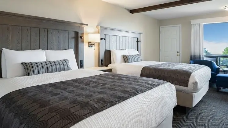 Economy Oda, 1 Büyük (Queen) Boy Yatak