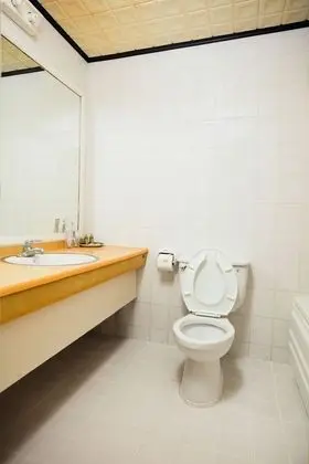 Standard Tek Büyük veya İki Ayrı Yataklı Oda, Dağ Manzaralı