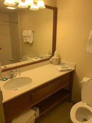 Tek Büyük Yataklı Oda, Engellilere Uygun, Buzdolabı ve Mikrodalga