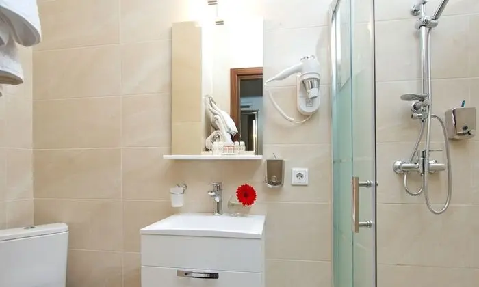 Standard Tek Büyük veya İki Ayrı Yataklı Oda, Buzdolabı
