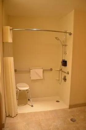 Oda, 1 En Büyük (King) Boy Yatak, Engellilere Uygun, Sigara İçilmez (Roll-In Shower)