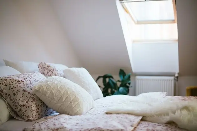 Exclusive Çatı Katı Süiti (Penthouse)