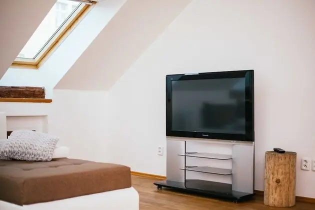 Exclusive Çatı Katı Süiti (Penthouse)