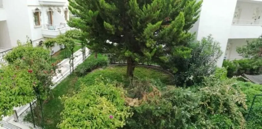 Superior Üç Kişilik Oda, Birden Çok Yatak