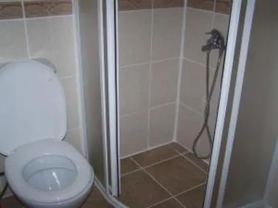12449