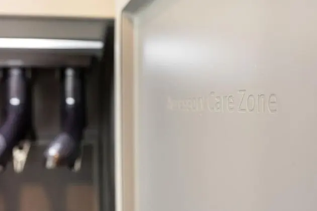 Deluxe Tek Büyük Yataklı Oda (Styler + Air Purifier)