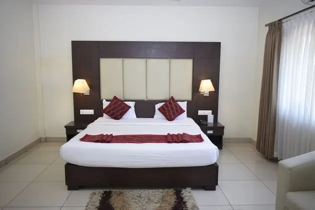 Deluxe Tek Büyük Yataklı Oda, Şehir Manzaralı