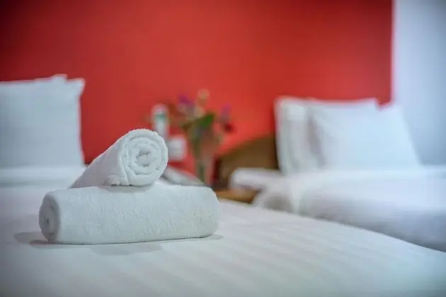 Deluxe İki Ayrı Yataklı Oda (Free One Way Airport Pick Up)