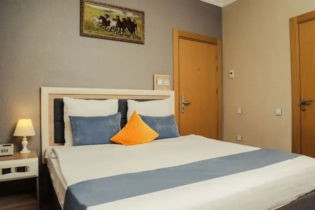 Standard Tek Büyük Yataklı Oda, Şehir Manzaralı