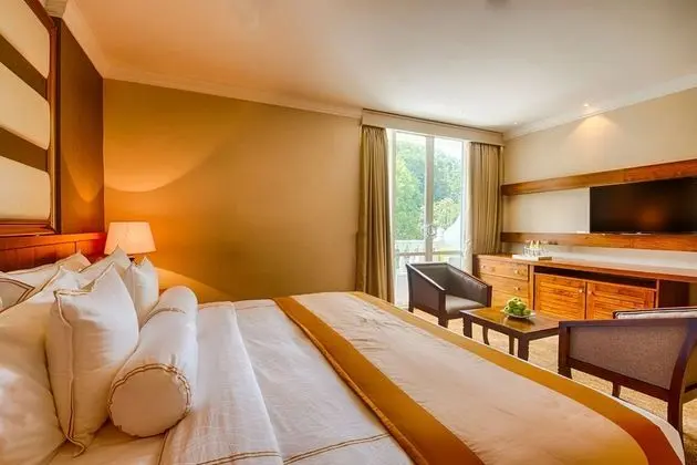 Deluxe Tek Büyük veya İki Ayrı Yataklı Oda, Sigara İçilmez