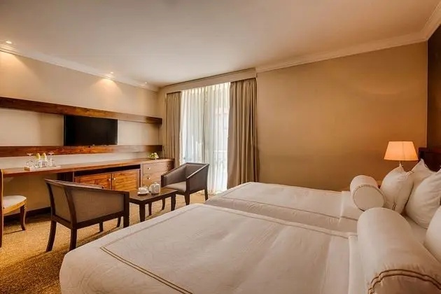 Deluxe Tek Büyük veya İki Ayrı Yataklı Oda, Sigara İçilmez