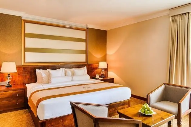 Deluxe Tek Büyük veya İki Ayrı Yataklı Oda, Sigara İçilmez