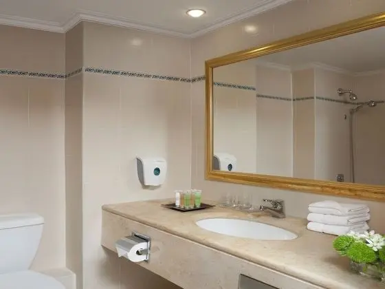 Comfort Oda, Şehir Manzaralı