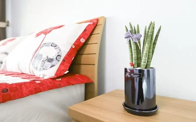 Tek Büyük Yataklı Oda