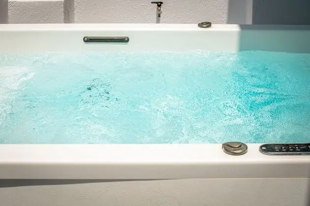 Comfort Apart Daire, 1 Yatak Odası, Jakuzi, Deniz Manzaralı (Goose)