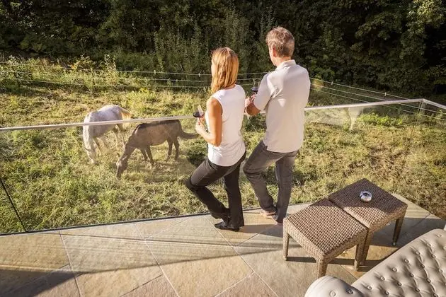 Dağ Evi (Goldfuchs)