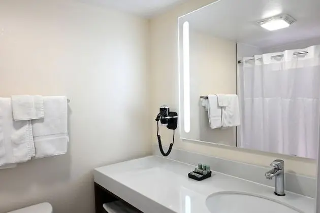 Premium Room, 1 King Bed, Balcony/Patio Pool View