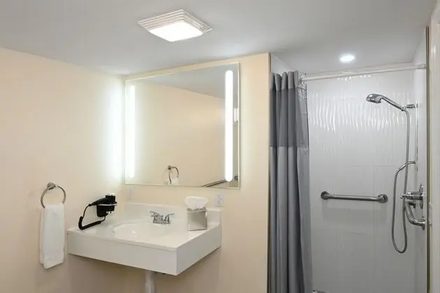 Premium Room, 1 King Bed, Patio, Pool View, Accessible