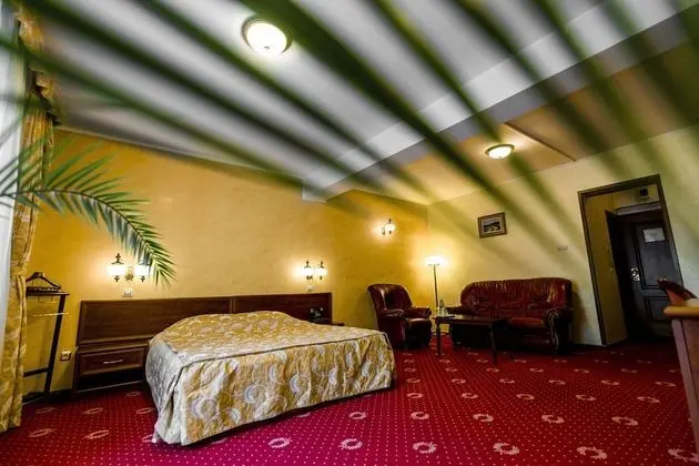 Deluxe Tek Büyük Yataklı Oda, 1 Büyük (Queen) Boy Yatak ve Çekyat, Park Manzaralı