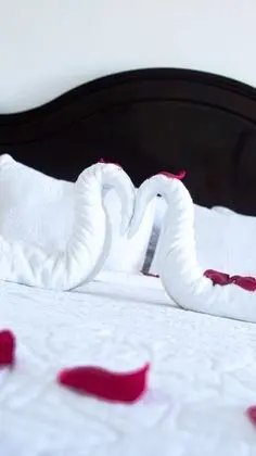 Basic Oda, 1 Yatak Odası