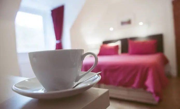 Tek Büyük veya İki Ayrı Yataklı Oda (Pet Friendly)