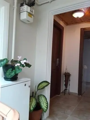 Family Apartment (1+1)