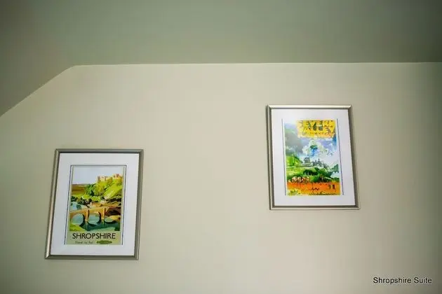 Superior Tek Büyük veya İki Ayrı Yataklı Oda, Banyolu/Duşlu