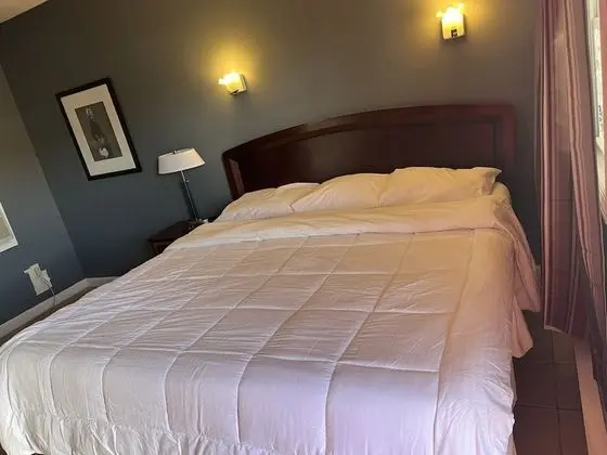 Basic Tek Kişilik Oda, 1 En Büyük (King) Boy Yatak, Sigara İçilmez