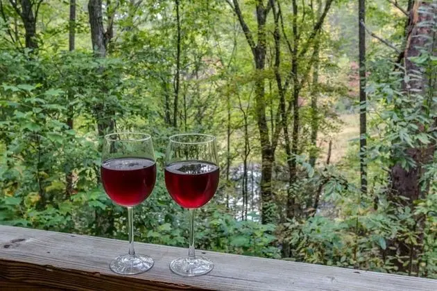 Kulübe (On Golden Pond- Near Ocoee River)