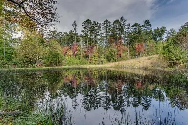 Kulübe (On Golden Pond- Near Ocoee River)