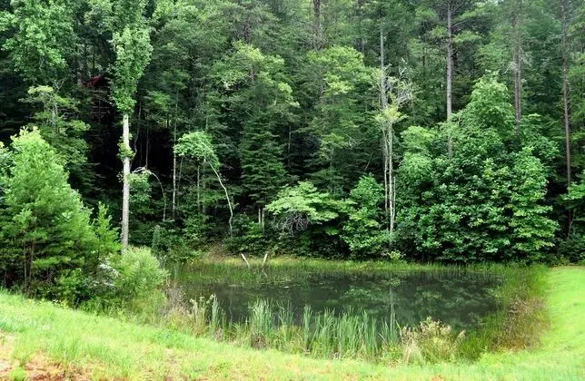 Kulübe (On Golden Pond- Near Ocoee River)