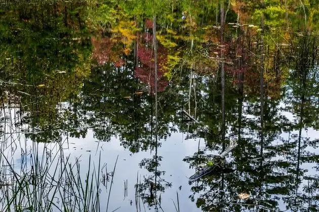 Kulübe (On Golden Pond- Near Ocoee River)