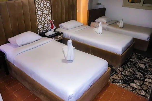 Deluxe Tek Büyük veya İki Ayrı Yataklı Oda