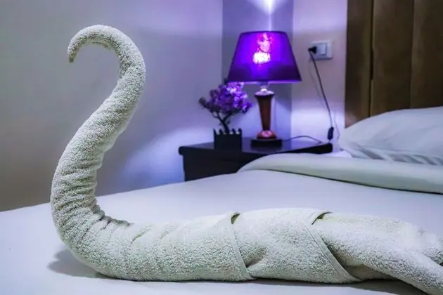 Deluxe Tek Büyük veya İki Ayrı Yataklı Oda