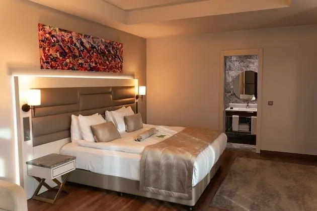 Junior Suite Room