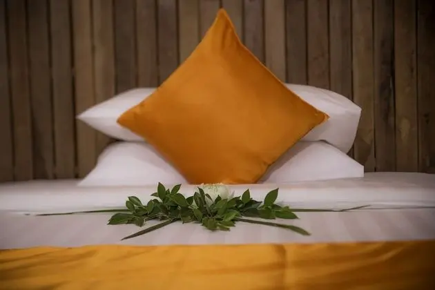 Deluxe İki Ayrı Yataklı Oda, Balkon, Havuz Manzaralı (Free Airport Pick up)