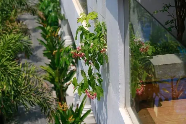 Deluxe Üç Kişilik Oda, Balkon, Havuz Manzaralı (Free Airport Pick Up)